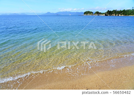 Naoshima Sea (Seto Inland Sea) 56650482