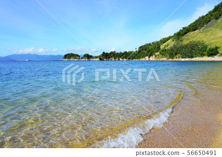 Naoshima Sea (Seto Inland Sea) Naoshima Sea (Seto Inland Sea) 56650491