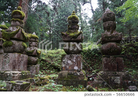 [World Heritage Sacred Sites and Pilgrimage Routes in the Kii Mountain Range] Koyasan Gorinto, a mossy five-wheeled tower on the approach to the temple in the back of Mt. Koya, Koya-cho, Ito-gun, Wakayama Prefecture 56650666