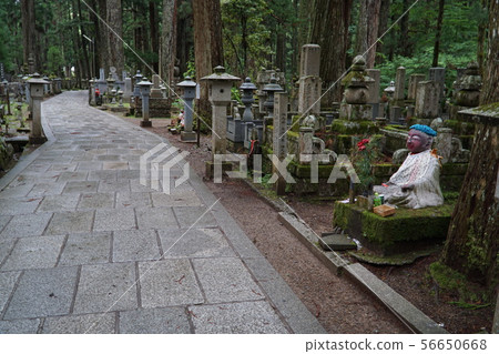 [世界遺產紀伊山脈聖地和參拜路線]高野山化妝品地藏和奧之院接近和歌山縣伊東郡高野町 56650668