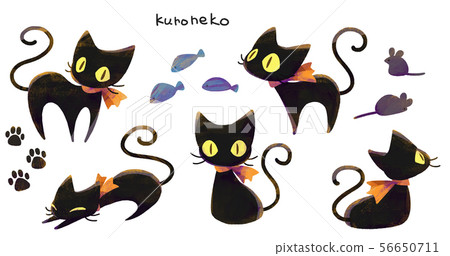 Black cat 5 (texture) Black cat 5 (texture) 56650711