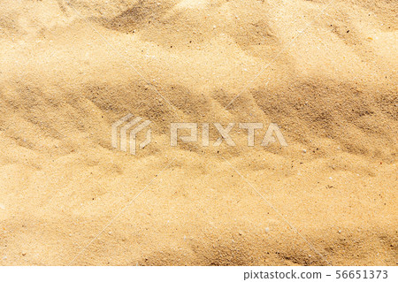 tire tread trail on the sand 56651373