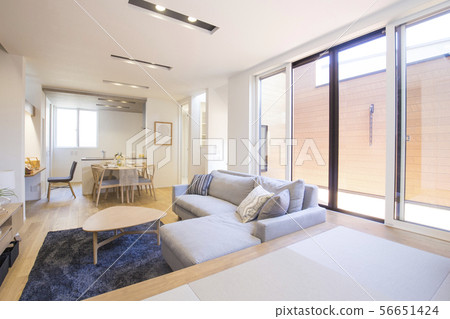 New single-family living room 56651424