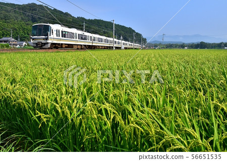 Railway Train Sanin Main Line Kyoto Exit Series 221 Ordinary Chiyogawa to Yagi Rice fields Rural JR West Nihonno Line Summer 56651535