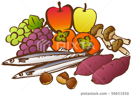 Autumn taste illustration Autumn taste illustration 56651938