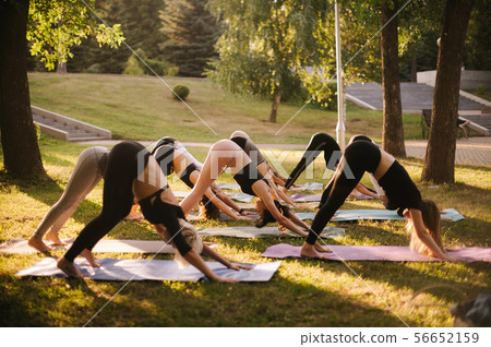Group of young sporty people doing Adho Mukha Svanasana in city park at dawn 56652159