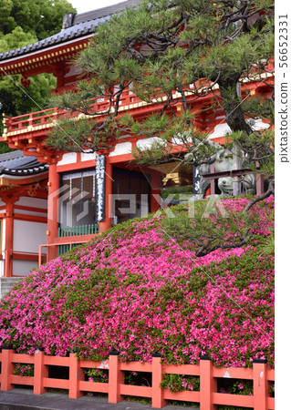 八坂神社Nishiromon Satsuki 56652331