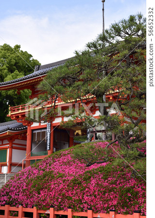 Yasaka Shrine Nishiromon Satsuki 56652332