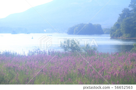 Misohagi和菅原湖 56652563