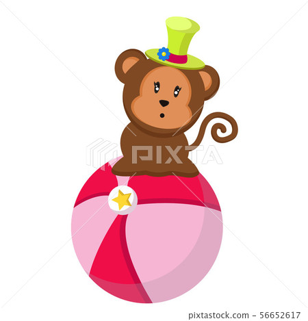 Funny cute little monkey  56652617