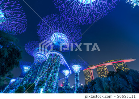 Gardens by the Bay 56653111