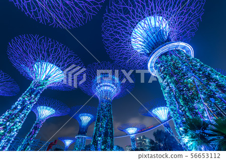 濱海灣花園 濱海灣花園 56653112