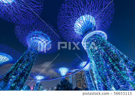 濱海灣花園 濱海灣花園 56653113