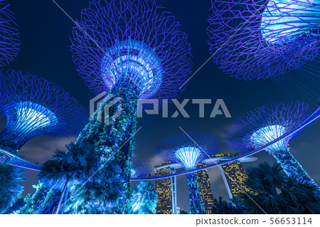 Gardens by the Bay 56653114