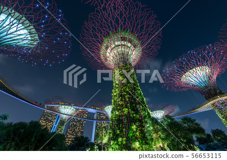 濱海灣花園 濱海灣花園 56653115