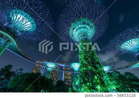 濱海灣花園 濱海灣花園 56653116