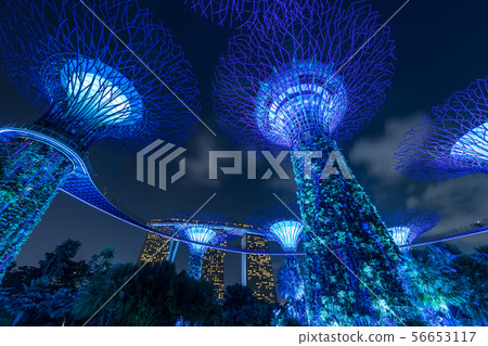 Gardens by the Bay 56653117