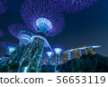 Gardens by the Bay 56653119