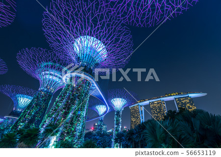 濱海灣花園 濱海灣花園 56653119