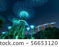 Gardens by the Bay 56653120