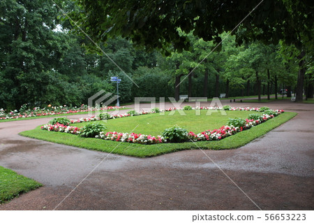 Old, Catherine Park in St. Petersburg. Russia Old, Catherine Park in St. Petersburg. Russia 56653223
