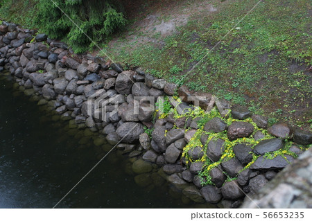 Old, Catherine Park in St. Petersburg. Russia 56653235
