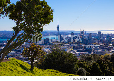 Auckland landscape Auckland landscape 56653447