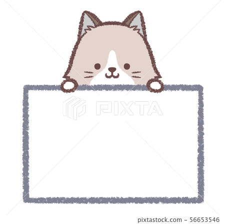 Ragdoll information board 56653546