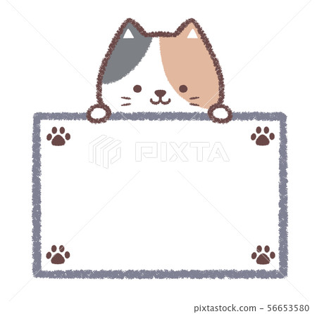 Tortoiseshell guide board-footprints 56653580