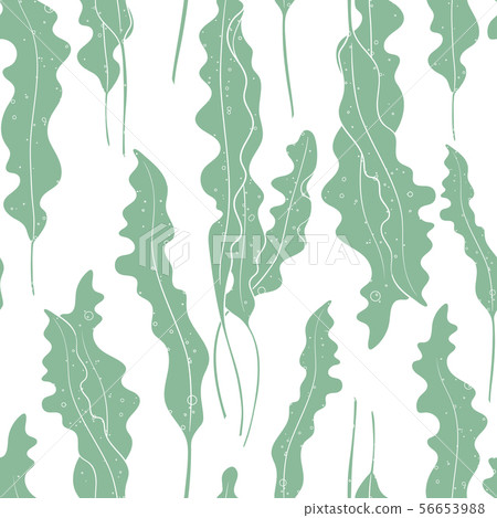 Vector seaweed texture seamless pattern 56653988