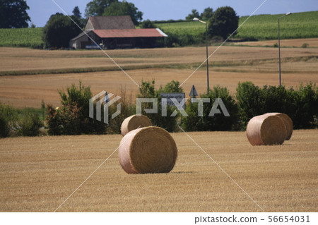 European village 56654031