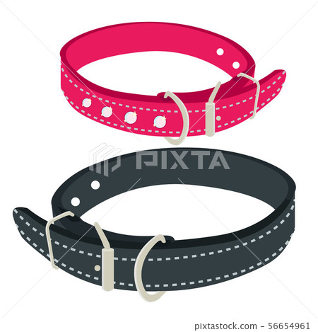 dog collar shop