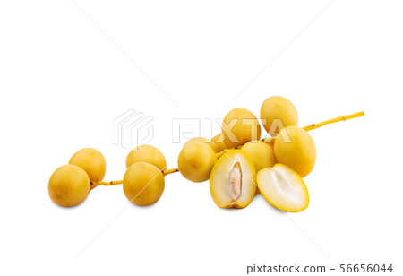 yellow date palm fruit on white background yellow date palm fruit on white background 56656044