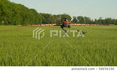 Special tractor for herbicide spraying against weeds, fields of barley Hordeum vulgare, chemical 56656190