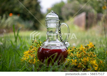 Red oil made from St. John's wort flowers Red oil made from St. John's wort flowers 56657517