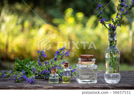 Bottles of essential oil with fresh hyssop plant Bottles of essential oil with fresh hyssop plant 56657531