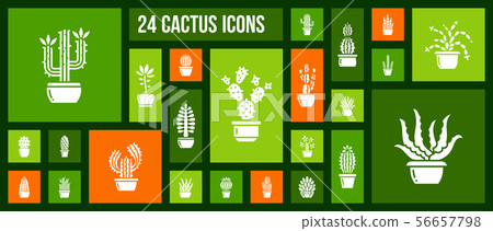 Cactus succulent plant in pot icon vector set Cactus succulent plant in pot icon vector set 56657798