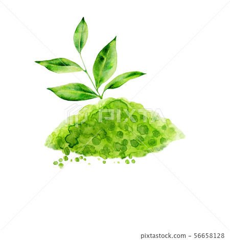 Matcha Matcha 56658128