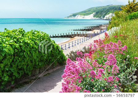 Walk to Holywell beach, Eastbourne Walk to Holywell beach, Eastbourne 56658797