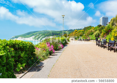 Walk to Holywell beach, Eastbourne 56658800