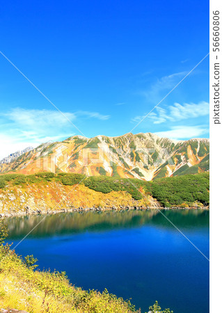 Tateyama山脈和Mikurigaike池塘秋葉 Tateyama山脈和Mikurigaike池塘秋葉 56660806