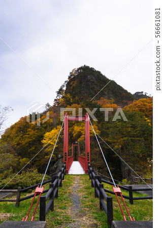 Kenjo Forest和Yamabushi Forest 011 56661081