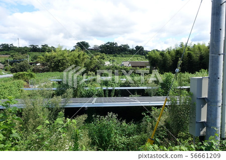 Solar power plant surrounded by weeds Solar power plant surrounded by weeds 56661209