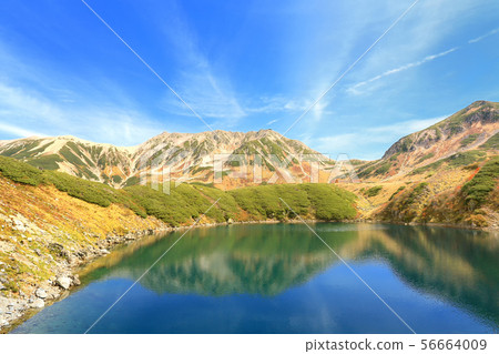 Tateyama山脈和Mikurigaike池塘秋葉 Tateyama山脈和Mikurigaike池塘秋葉 56664009