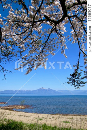 豬苗代湖和Hagiyama(湖山郡郡)在春天 豬苗代湖和Hagiyama(湖山郡郡)在春天 56665057