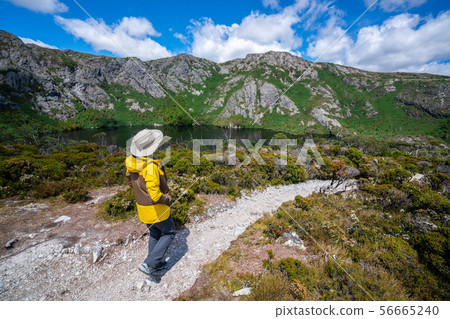 Travel in Cradle Mountain NP, Tasmania, Australia Travel in Cradle Mountain NP, Tasmania, Australia 56665240