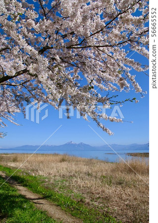 Lake Inawashiro and Hagiyama (Koriyama City, Hunan Town) in spring Lake Inawashiro and Hagiyama (Koriyama City, Hunan Town) in spring 56665552