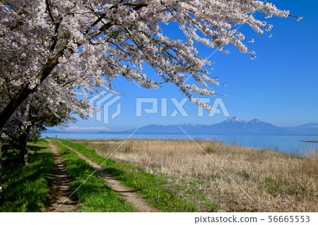 Lake Inawashiro and Hagiyama (Koriyama City, Hunan Town) in spring 56665553