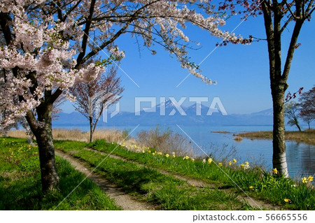 豬苗代湖和Hagiyama（湖山郡郡）在春天 56665556
