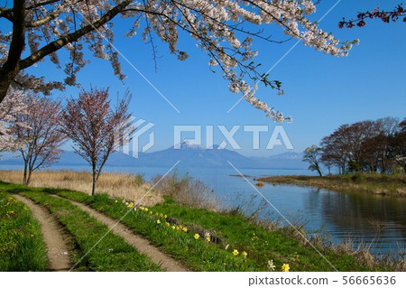 Lake Inawashiro and Hagiyama (Koriyama City, Hunan Town) in spring 56665636